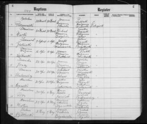 New Additions to Our Databases!