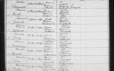 New Additions to Our Databases!